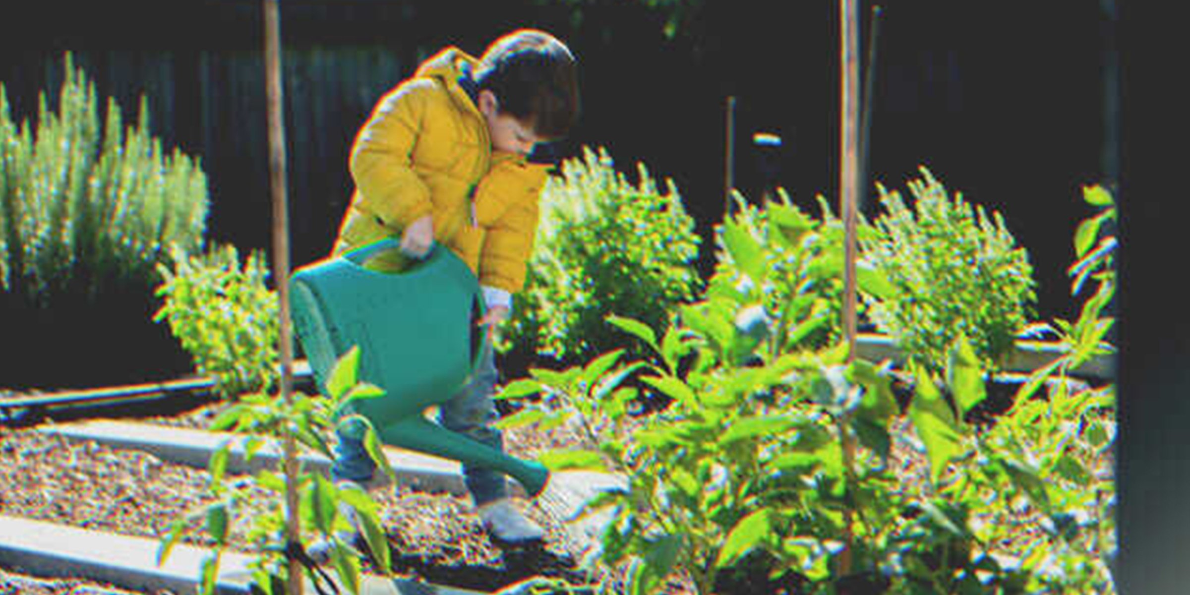 Boy Promises to Water Old Lady's Plants after She Moves to Nursing Home, Finds Note Left in Soil – Story of the Day