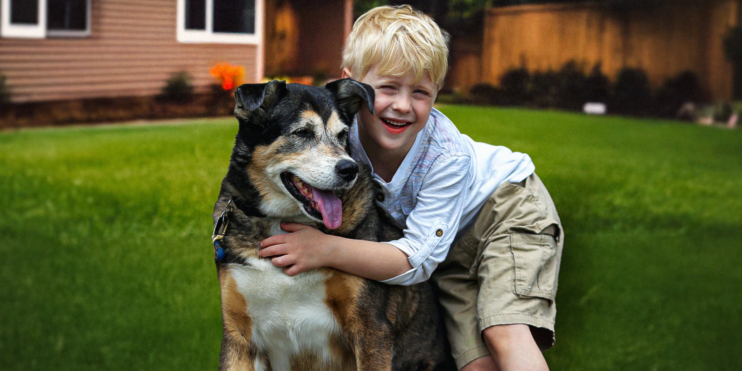 A Rescue Dog Came Home with Us — The Next Night, My 8-Year-Old Son Disappeared