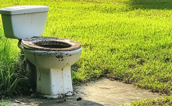 My Neighbor Installed a Toilet on My Lawn with a Note, 'Flush Your Opinion Here,' After I Asked Her Not to Sunbathe in Front of My Son's Window